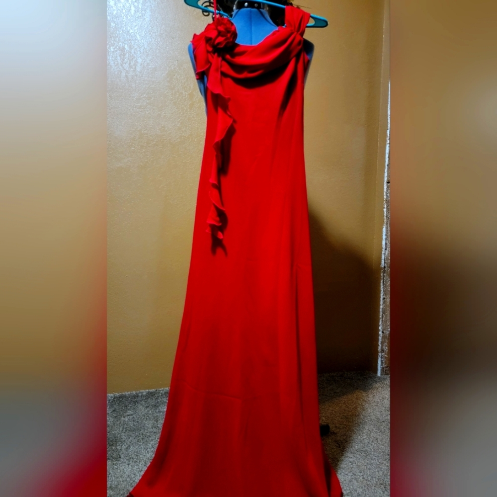 Red formal length drop sleeve dress